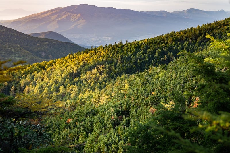 Black Forest, Germany